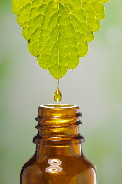 shutterstock_217270651