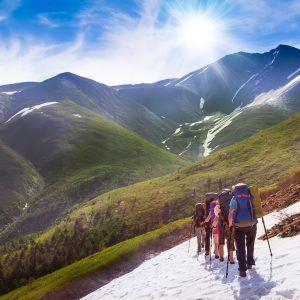 shutterstock_268513316