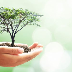 shutterstock_324636869